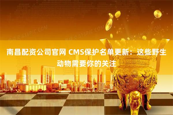 南昌配资公司官网 CMS保护名单更新：这些野生动物需要你的关注