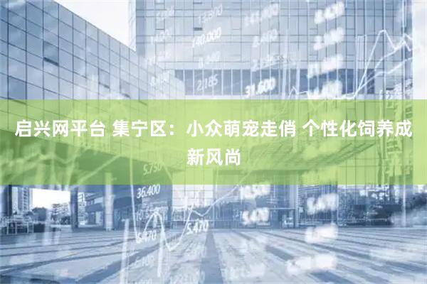 启兴网平台 集宁区：小众萌宠走俏 个性化饲养成新风尚