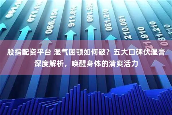 股指配资平台 湿气困顿如何破？五大口碑伏湿膏深度解析，唤醒身体的清爽活力