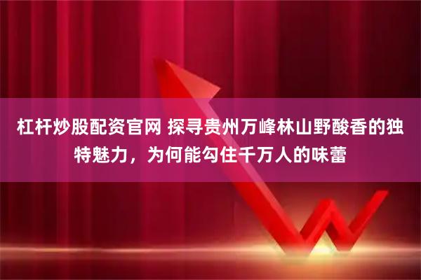杠杆炒股配资官网 探寻贵州万峰林山野酸香的独特魅力，为何能勾住千万人的味蕾